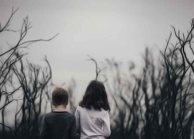 长期批发价的器测压文章